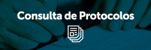 Consulta de Protocolo